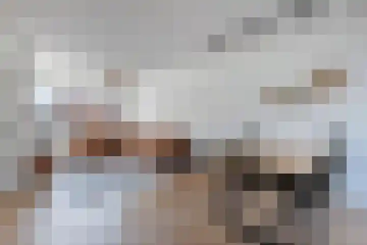 Westkade 117 Huizen thumbnail 6