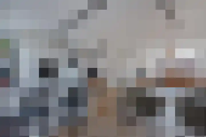 Westkade 117 Huizen thumbnail 9