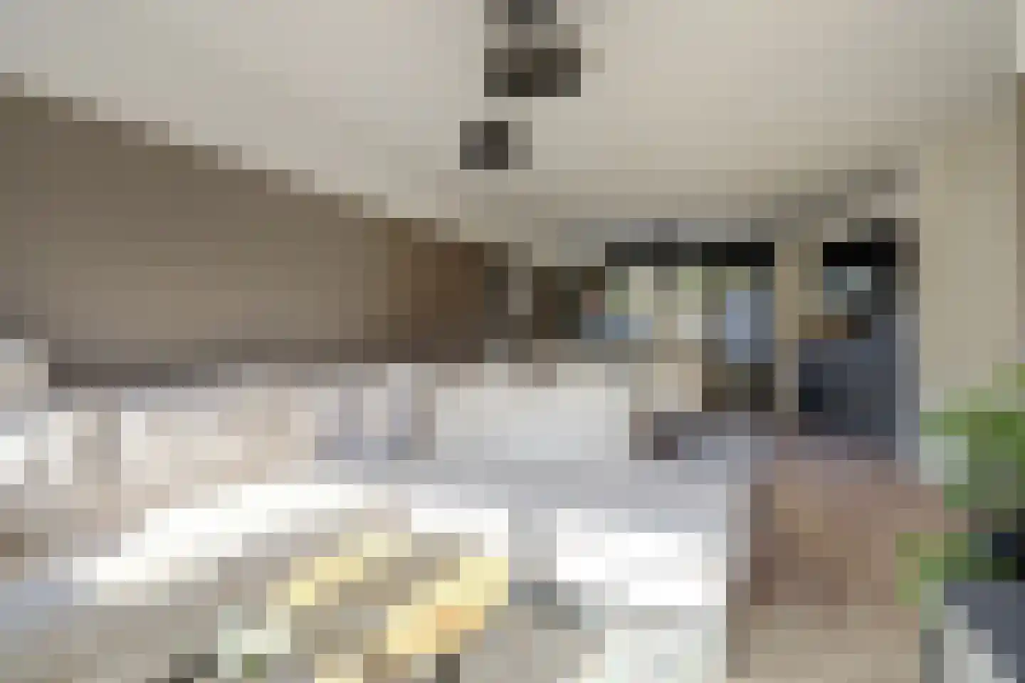 Westkade 343 Huizen thumbnail 12