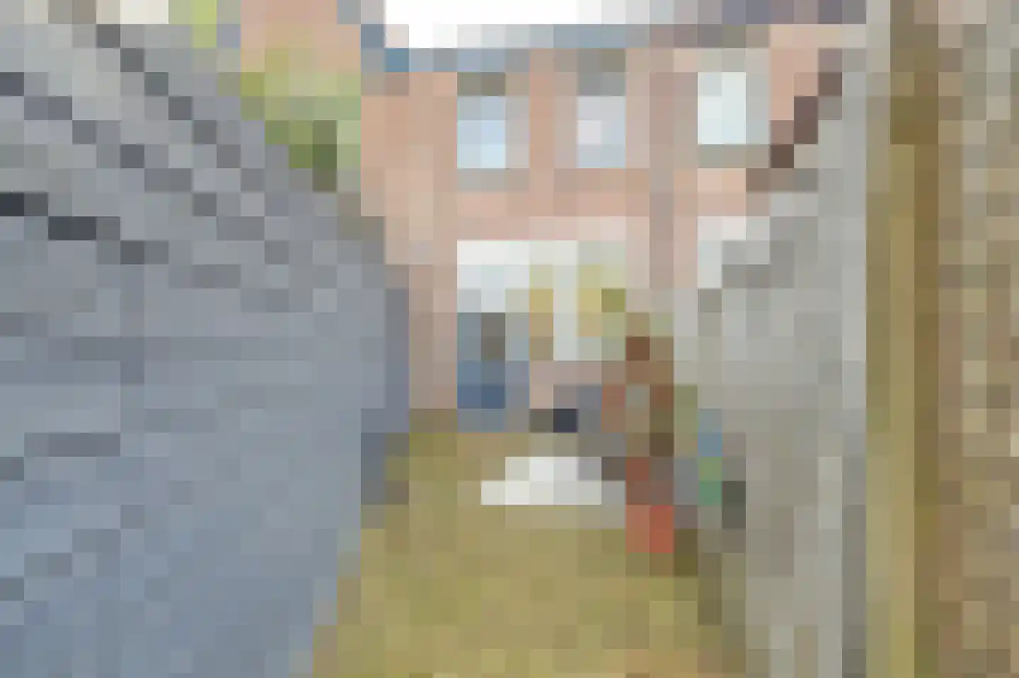 Westkade 343 Huizen thumbnail 30