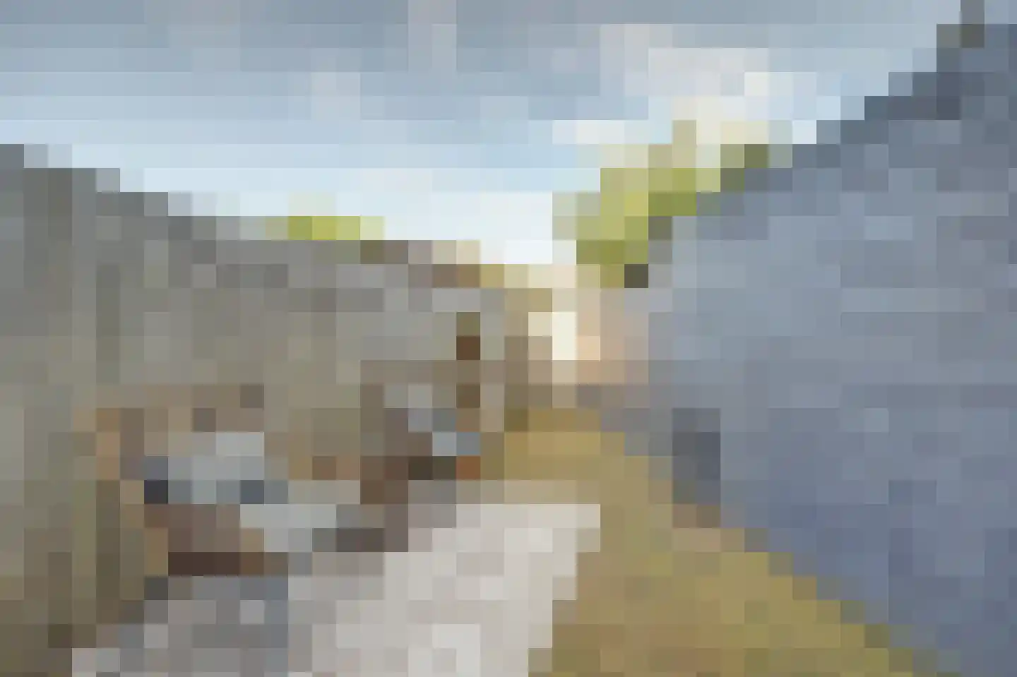 Westkade 343 Huizen thumbnail 32