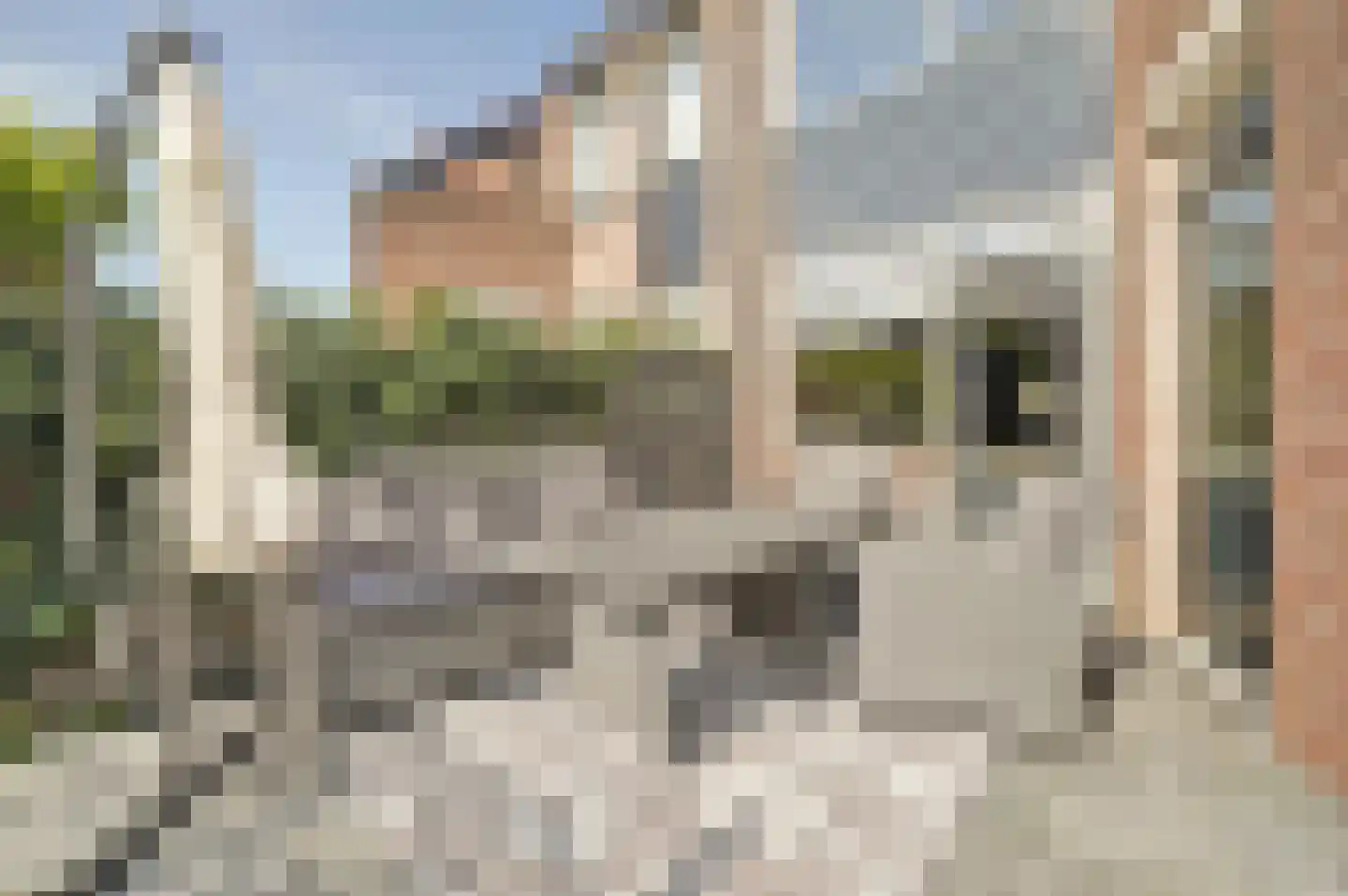 Westkade 343 Huizen thumbnail 7