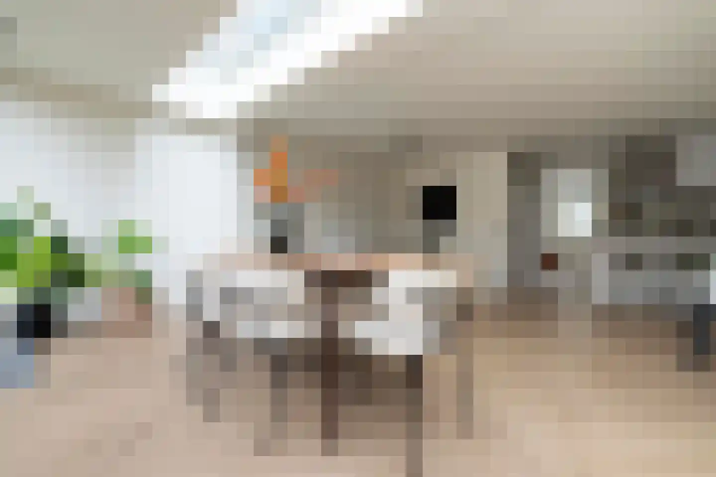 Westkade 349 Huizen thumbnail 16