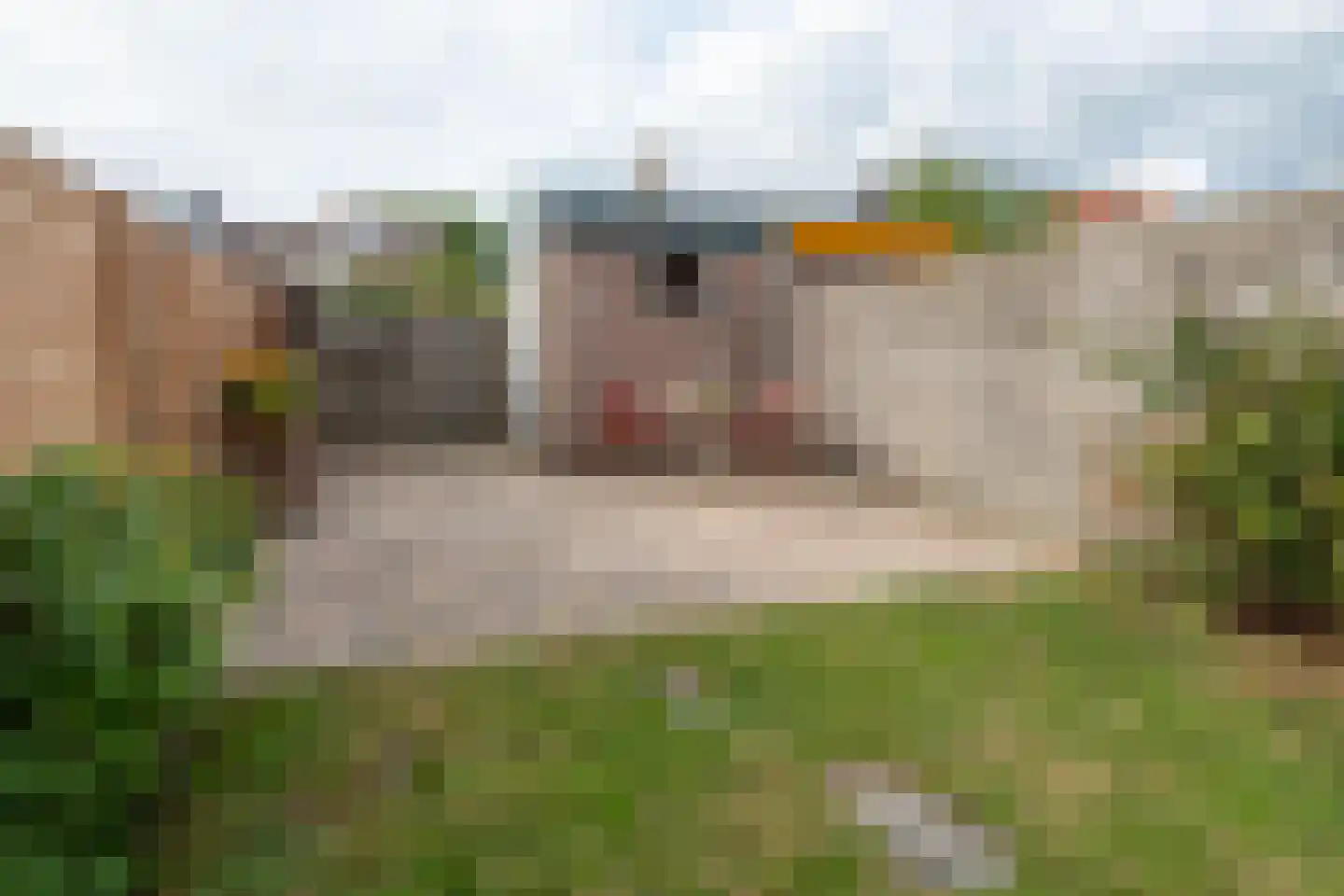 Westkade 349 Huizen thumbnail 19