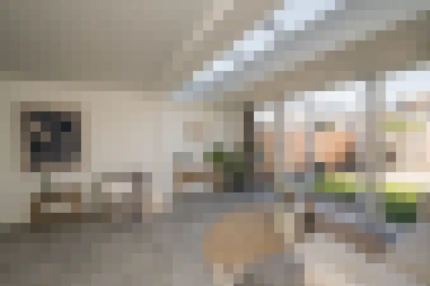 Westkade 349 Huizen thumbnail 20