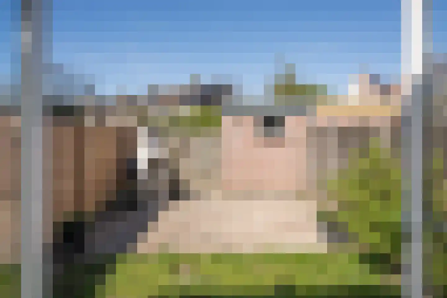 Westkade 349 Huizen thumbnail 20
