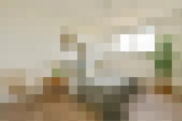 Westkade 443 Huizen thumbnail 17