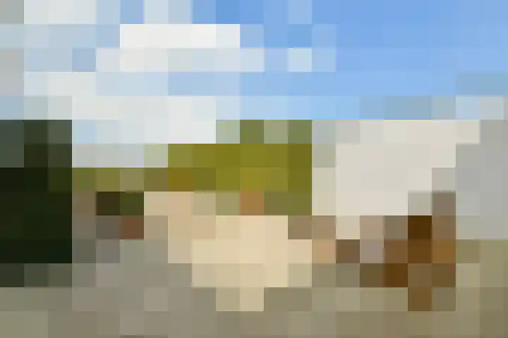 Westkade 443 Huizen thumbnail 25