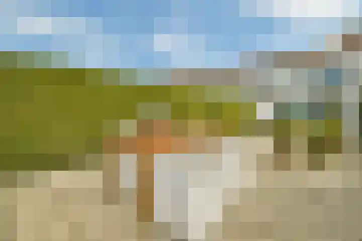 Westkade 443 Huizen thumbnail 26