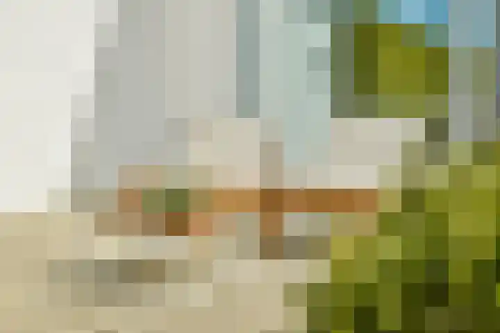 Westkade 443 Huizen thumbnail 27