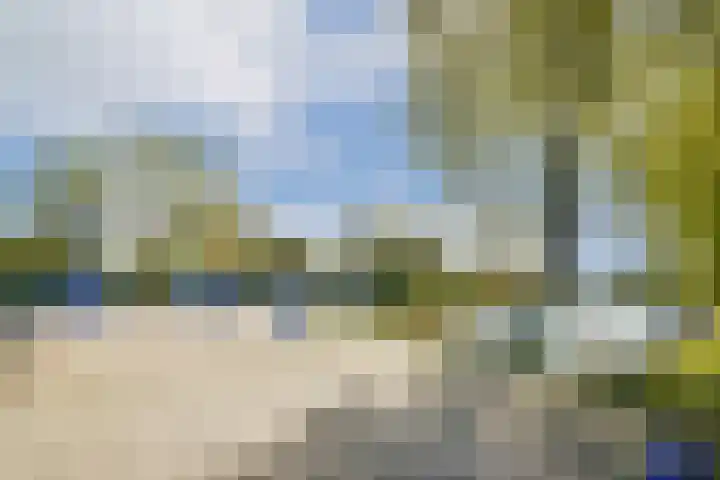 Westkade 443 Huizen thumbnail 31