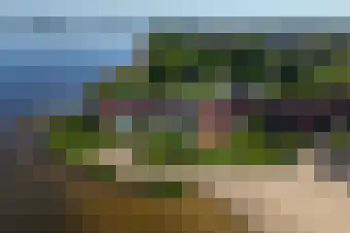 Westkade 443 Huizen thumbnail 34