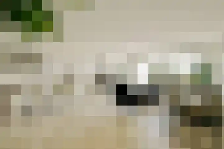 Westkade 443 Huizen thumbnail 5