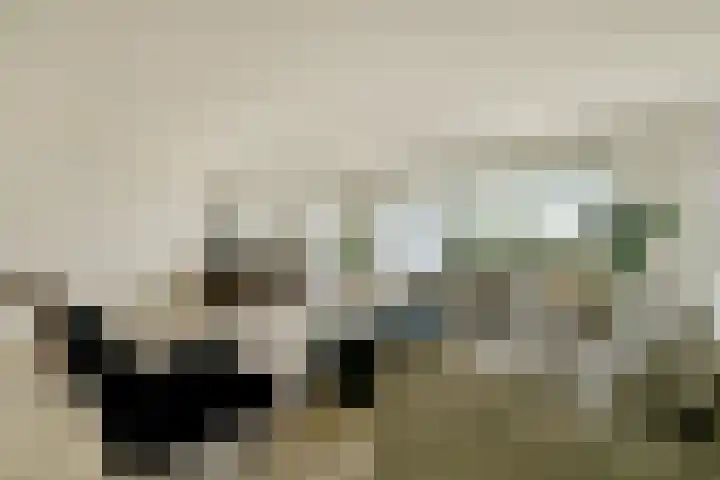 Westkade 443 Huizen thumbnail 6