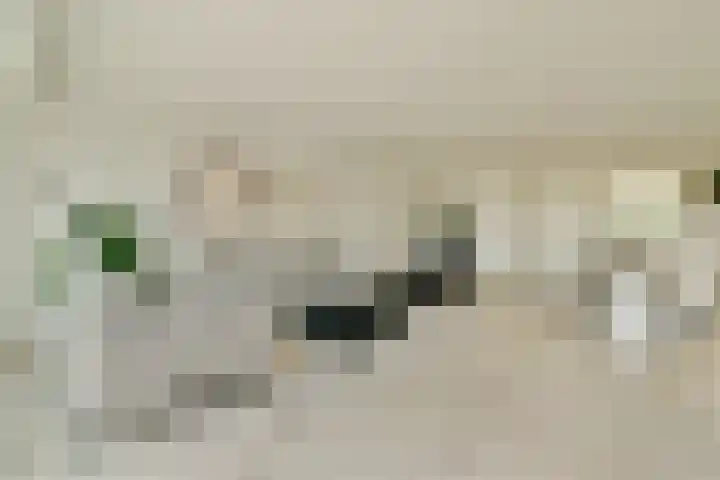 Westkade 443 Huizen thumbnail 7