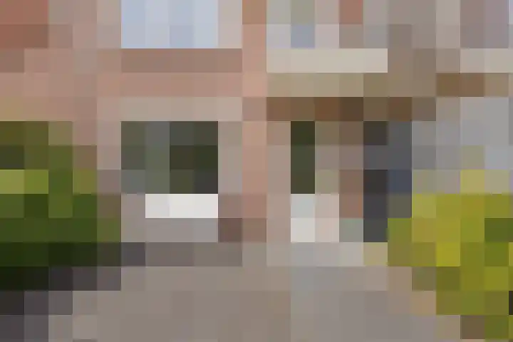 Westkade 60 Huizen thumbnail 12