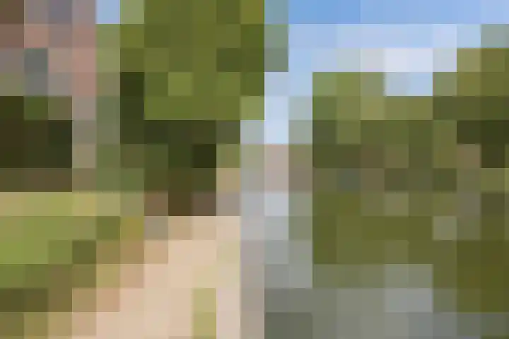 Westkade 60 Huizen thumbnail 14