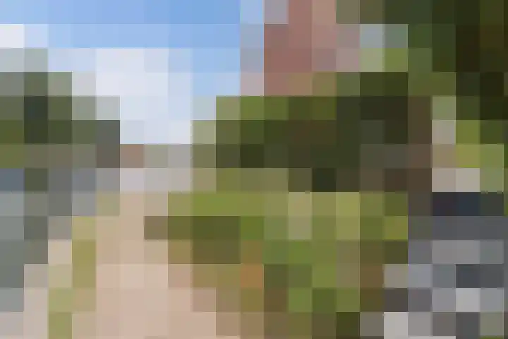 Westkade 60 Huizen thumbnail 15