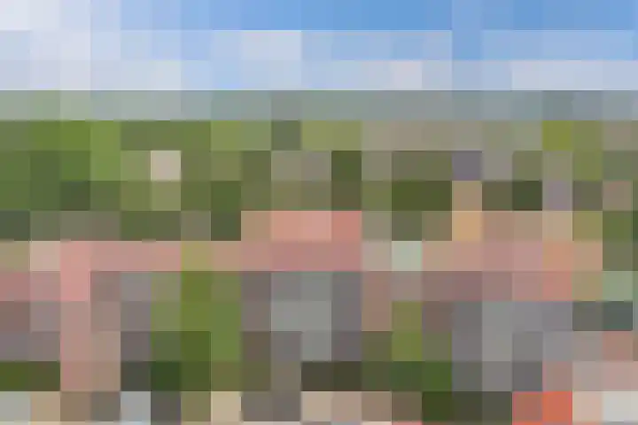Westkade 60 Huizen thumbnail 16