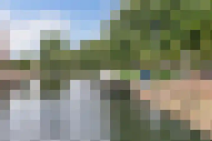 Westkade 60 Huizen thumbnail 18
