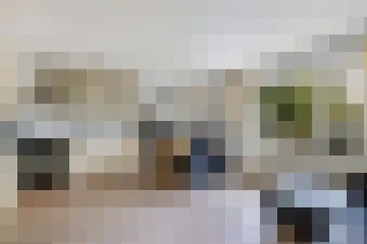 Westkade 60 Huizen thumbnail 5