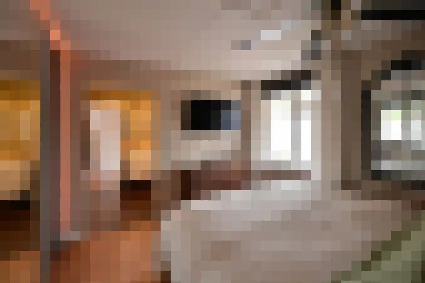 Westkade 72 Huizen thumbnail 13