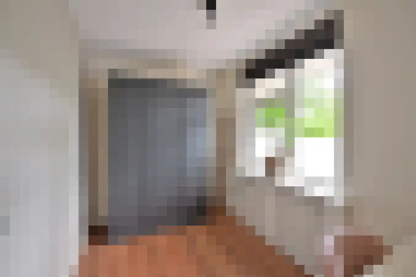 Westkade 72 Huizen thumbnail 14
