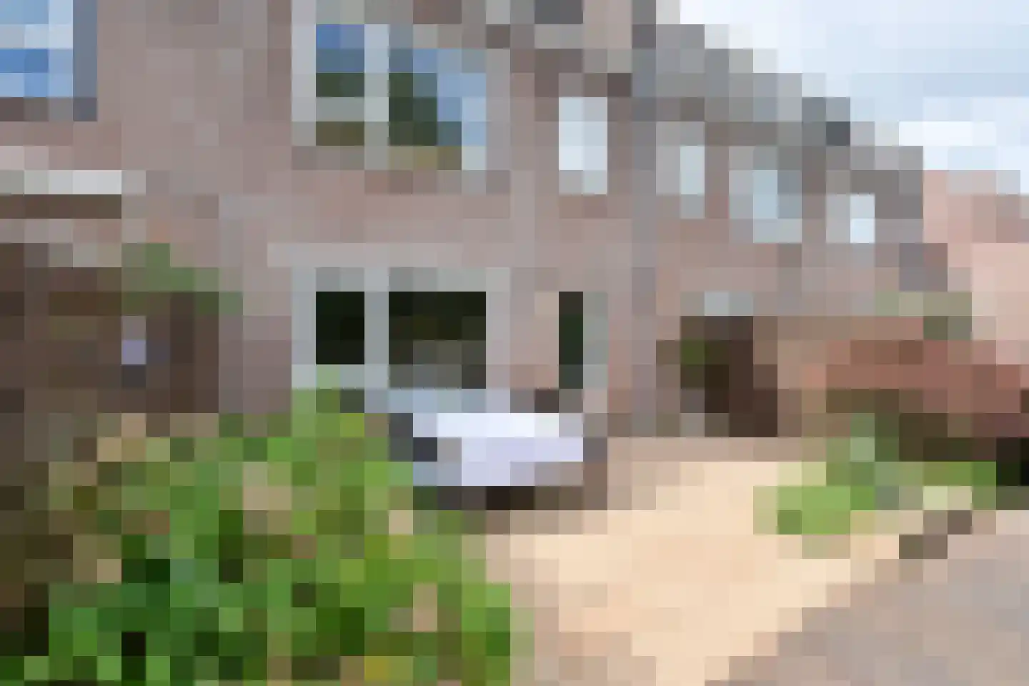 Westkade 72 Huizen thumbnail 19