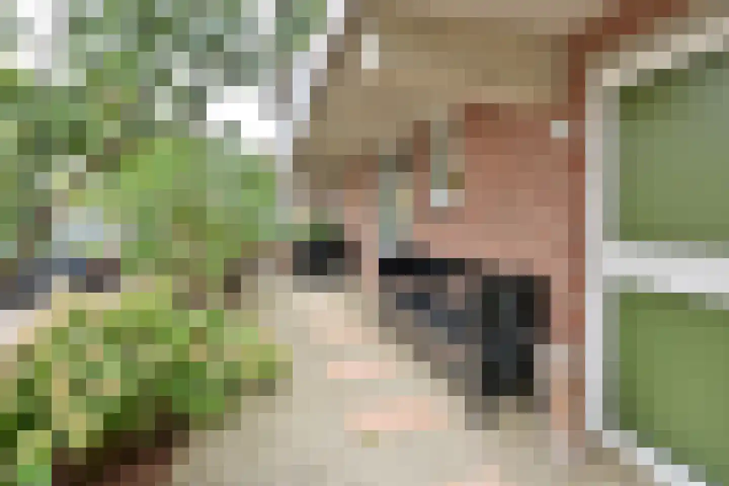 Westkade 72 Huizen thumbnail 5