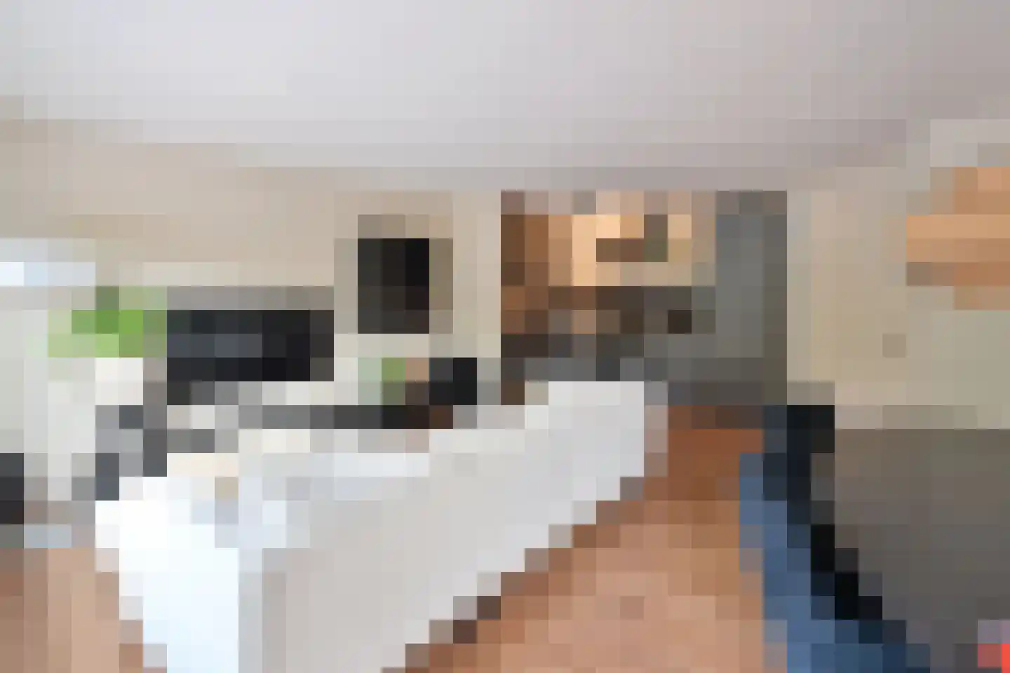 Westkade 72 Huizen thumbnail 9