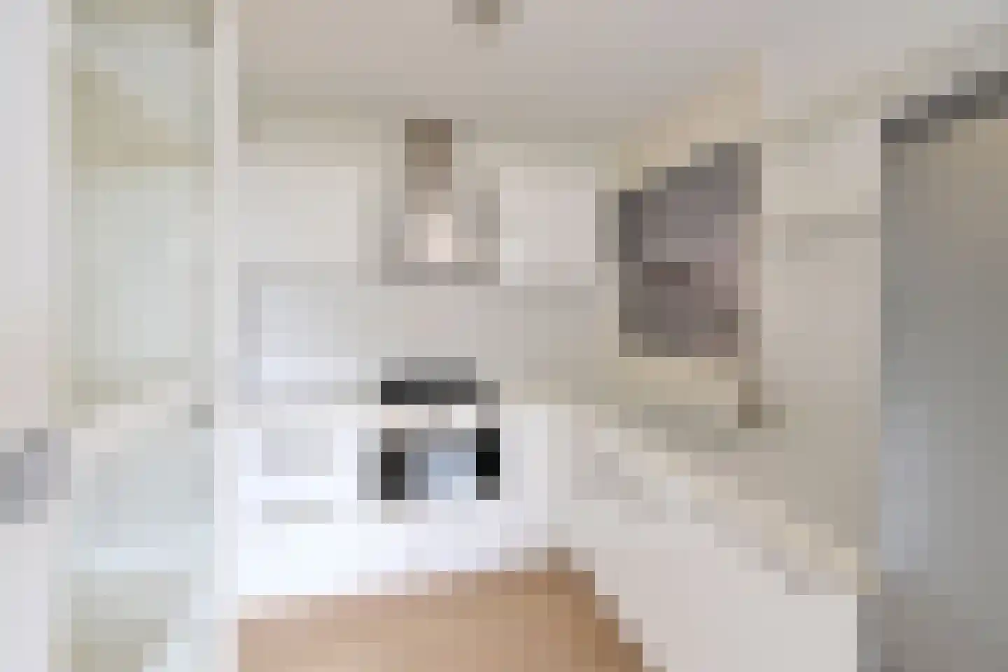 Westkade 77 Huizen thumbnail 9
