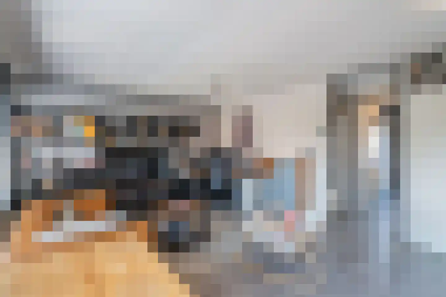Westkade 78 Huizen thumbnail 9