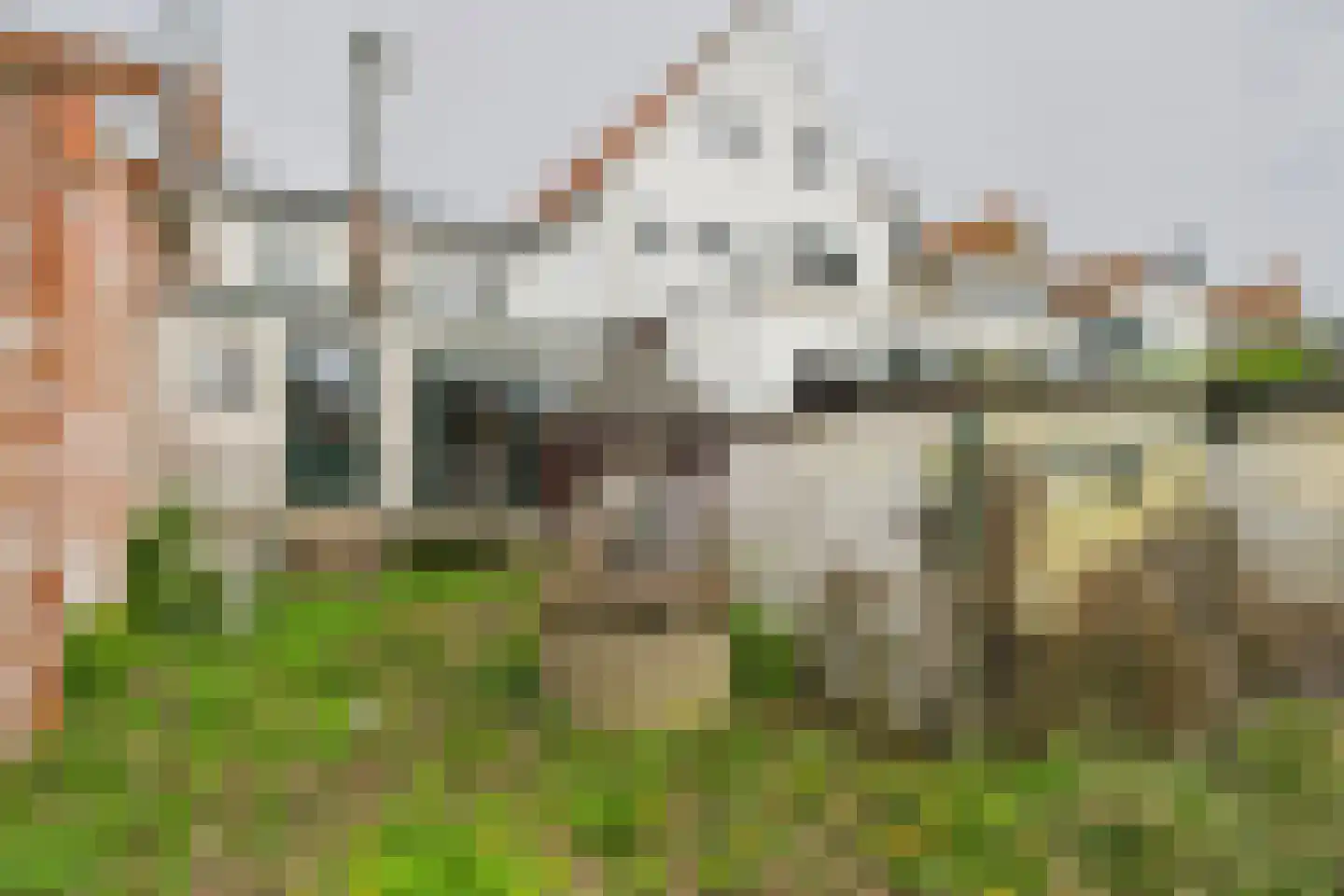 Westkade 78 Sas van Gent thumbnail 23