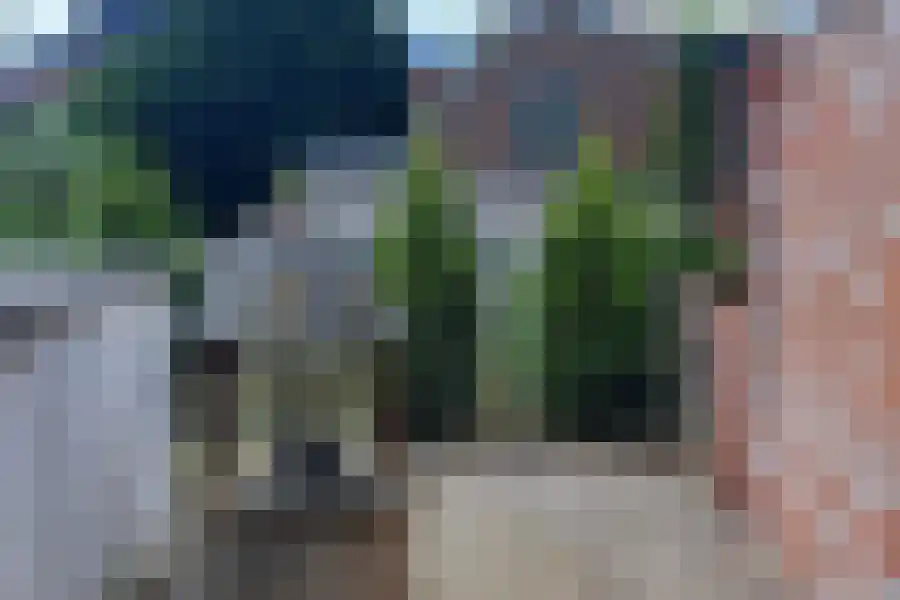 Westkade 78 Sas van Gent thumbnail 4