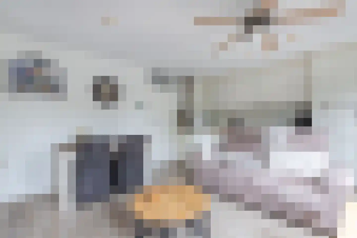 Westkade 8 Huizen thumbnail 13