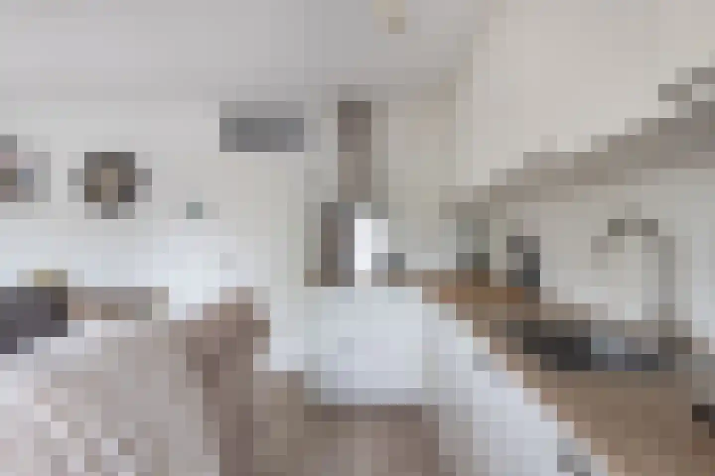 Westkade 8 Huizen thumbnail 15
