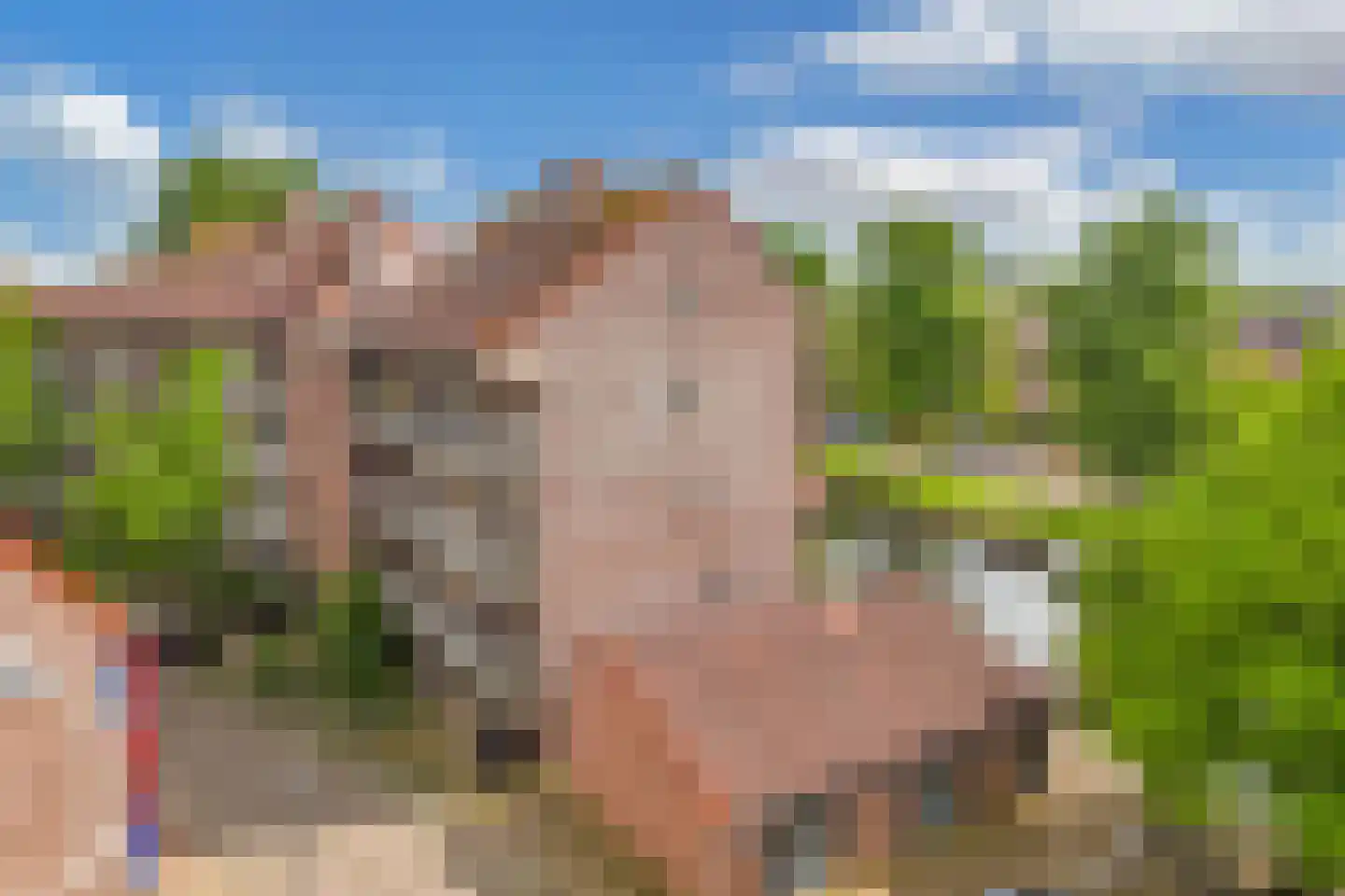 Westkade 8 Huizen thumbnail 28
