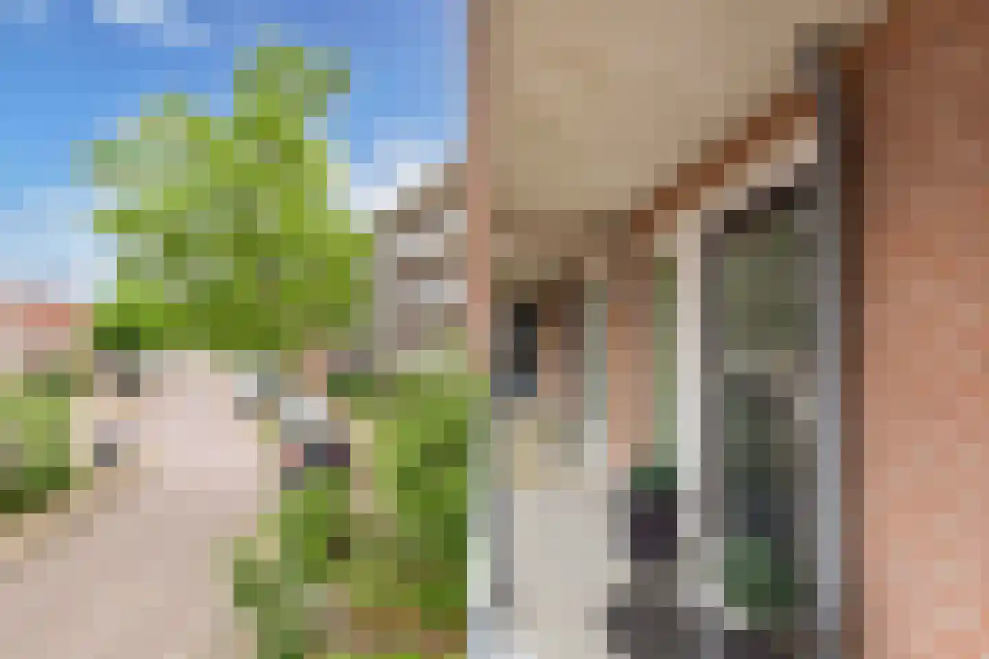 Westkade 8 Huizen thumbnail 8