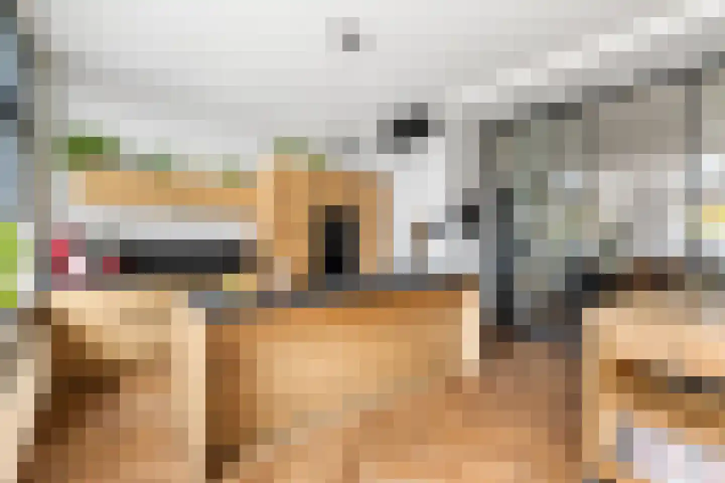 Westkade 87 Sas van Gent thumbnail 14