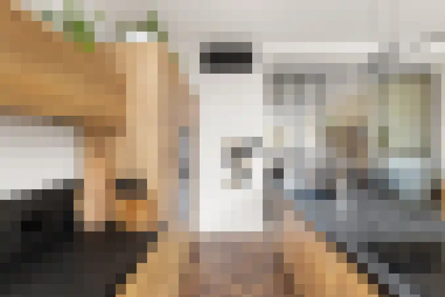 Westkade 87 Sas van Gent thumbnail 16