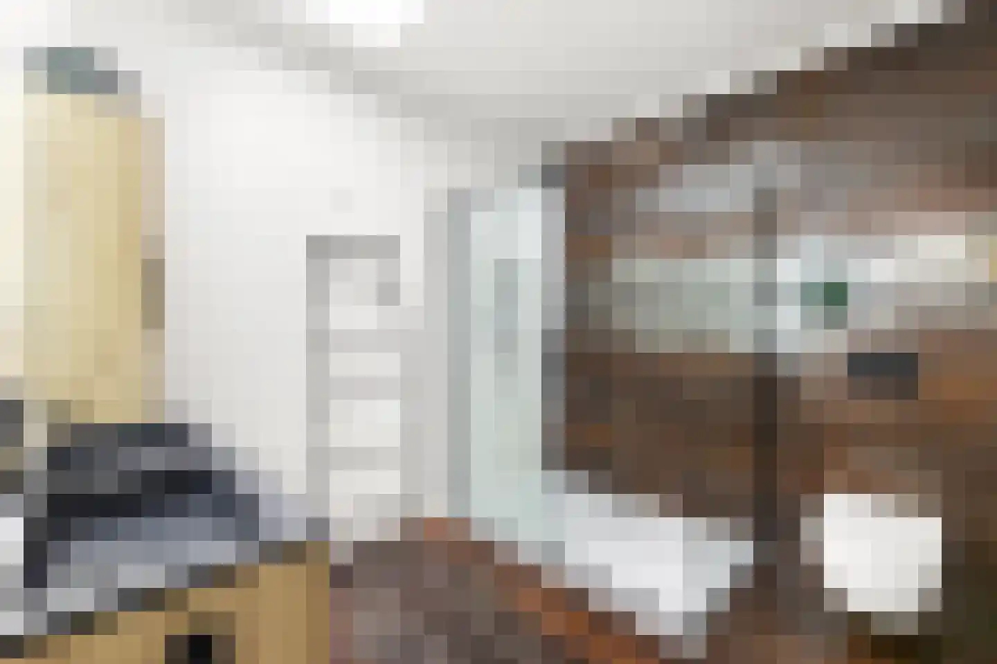 Westkade 87 Sas van Gent thumbnail 32