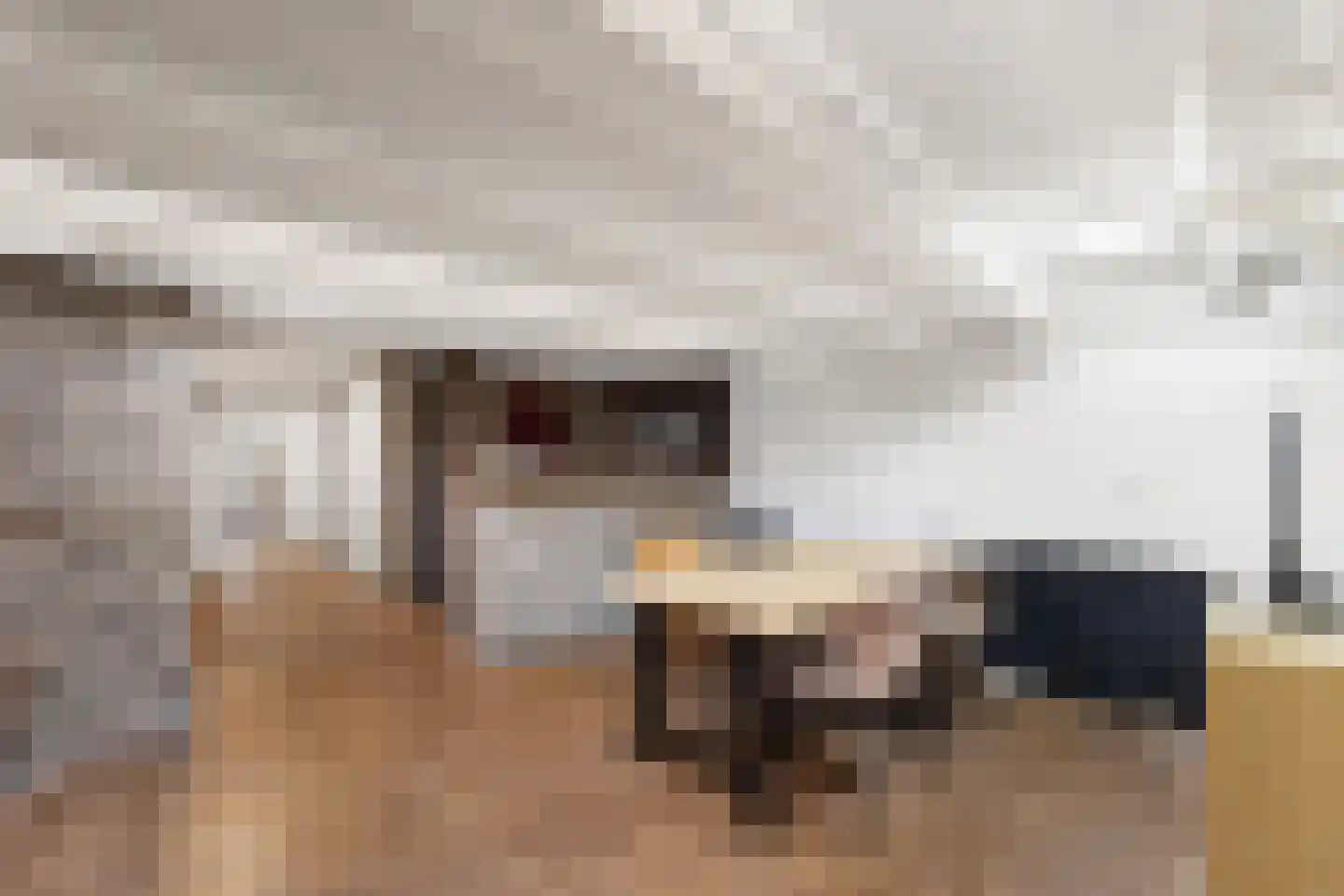 Westkade 87 Sas van Gent thumbnail 35