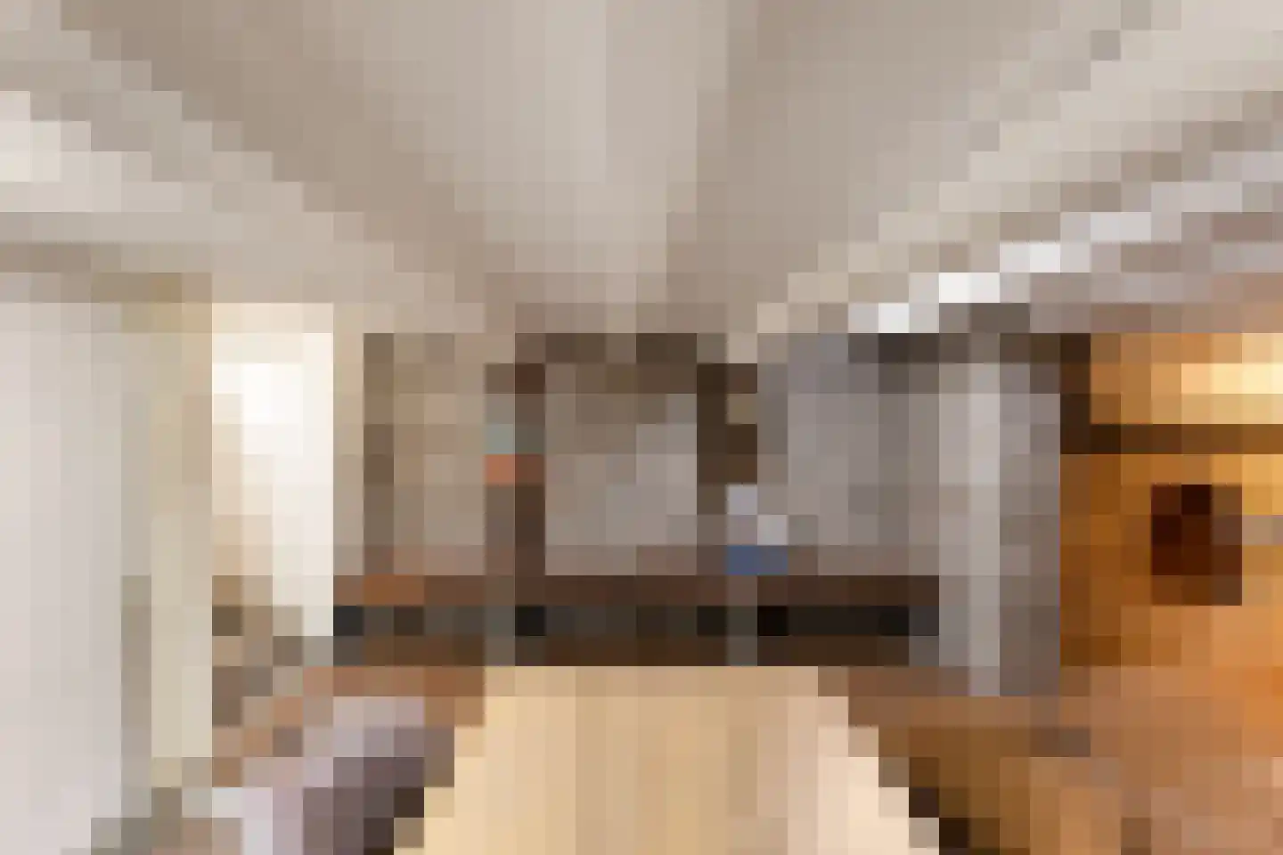 Westkade 87 Sas van Gent thumbnail 36