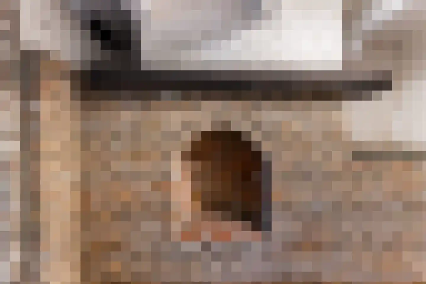 Westkade 87 Sas van Gent thumbnail 37