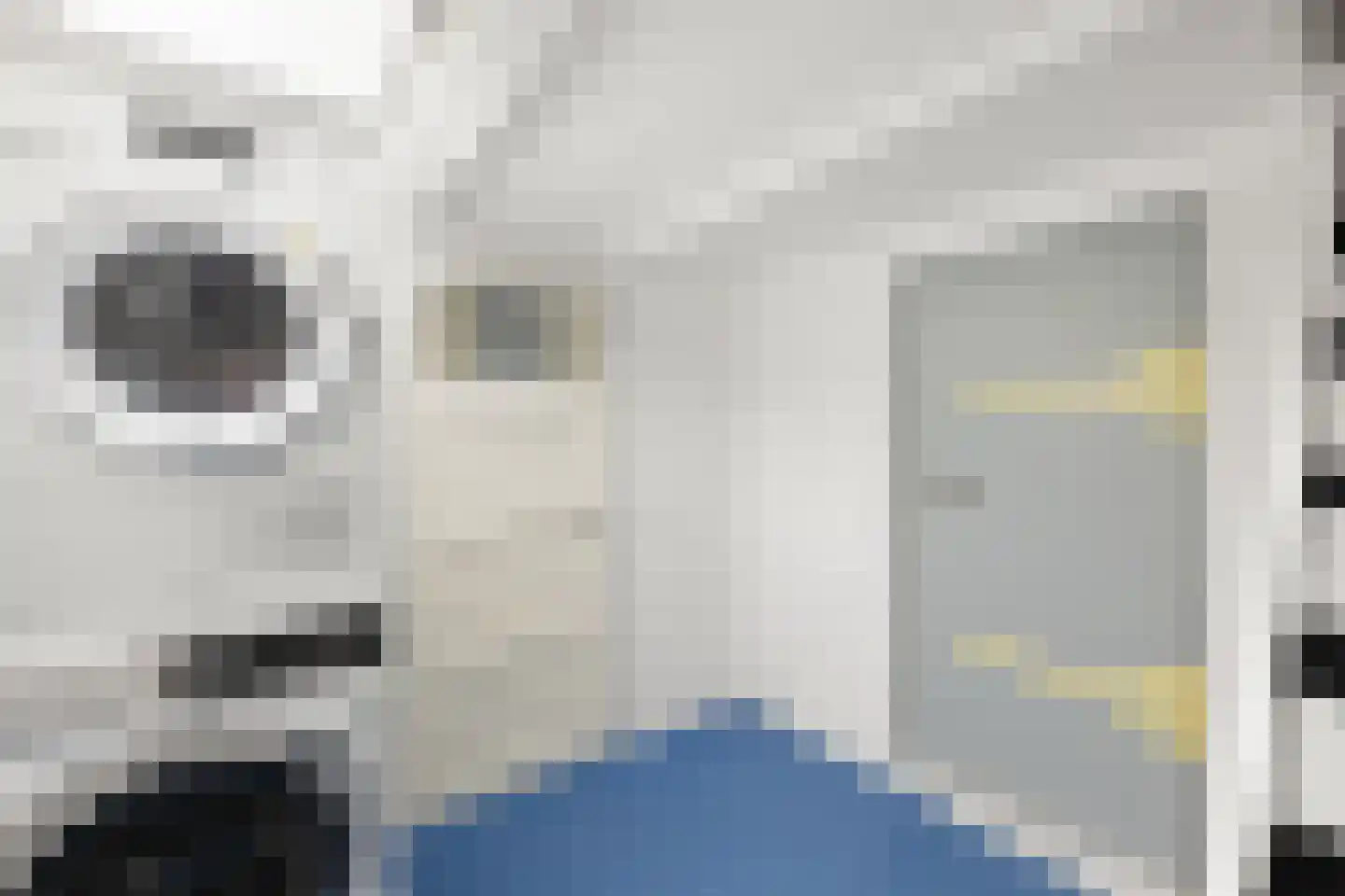 Westkade 87 Sas van Gent thumbnail 39
