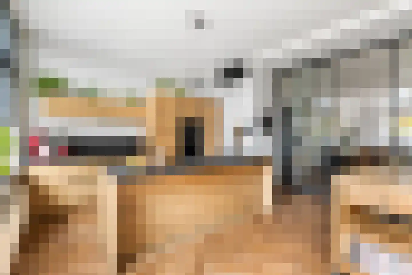 Westkade 87 Sas van Gent thumbnail 4