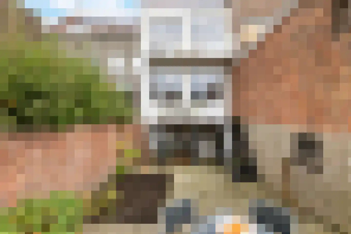 Westkade 87 Sas van Gent thumbnail 5