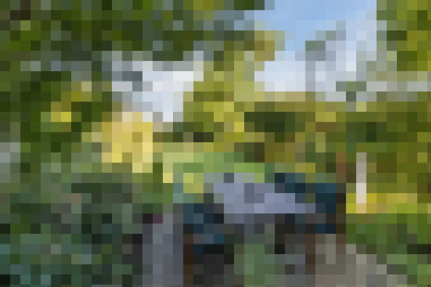 Westkanaalweg 14 Ter Aar thumbnail 10