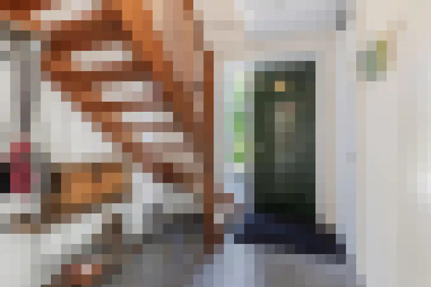 Westkanaalweg 14 Ter Aar thumbnail 16