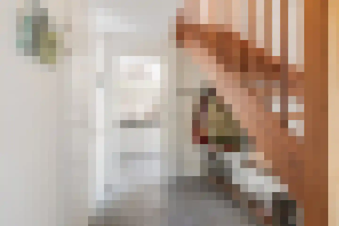 Westkanaalweg 14 Ter Aar thumbnail 17